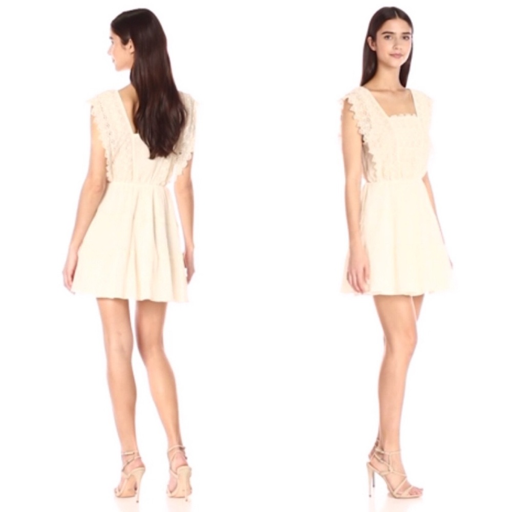 Sleeveless Flora Lace Bodice Fit and Flare Dress - Picture 5 of 6